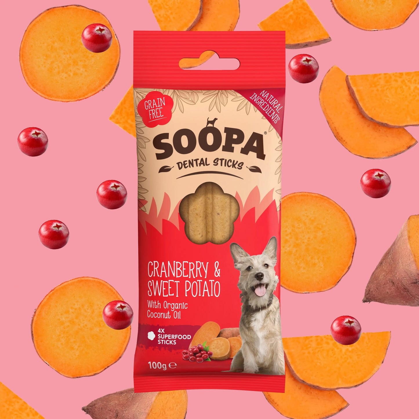 Soopa Cranberry & Sweet Potato Dental Sticks JC Raw LTD
