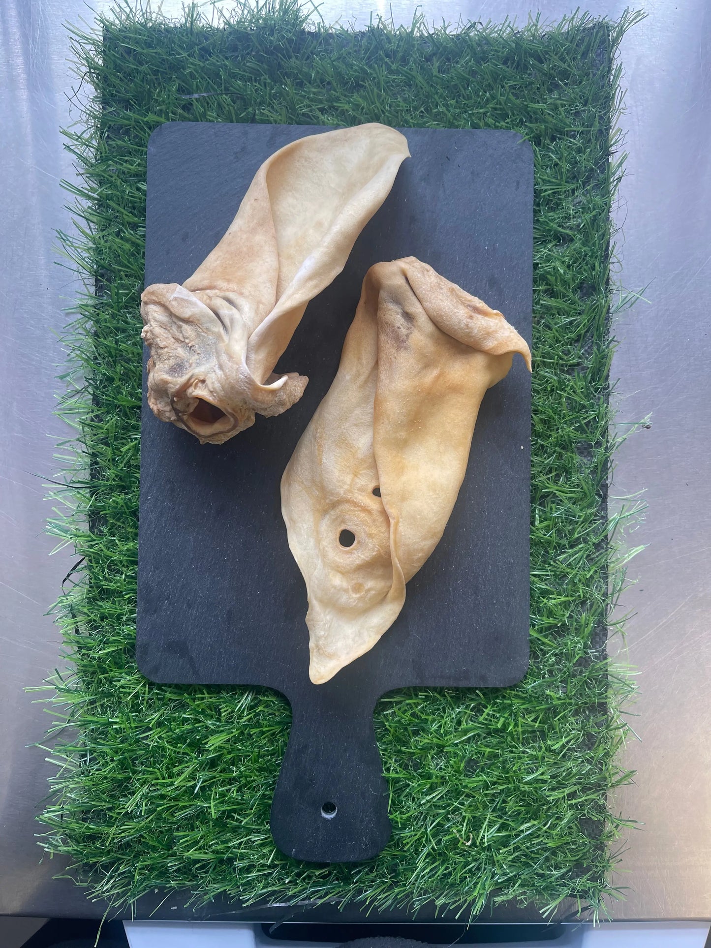 Plain Meaty Cow Ear JC Raw LTD