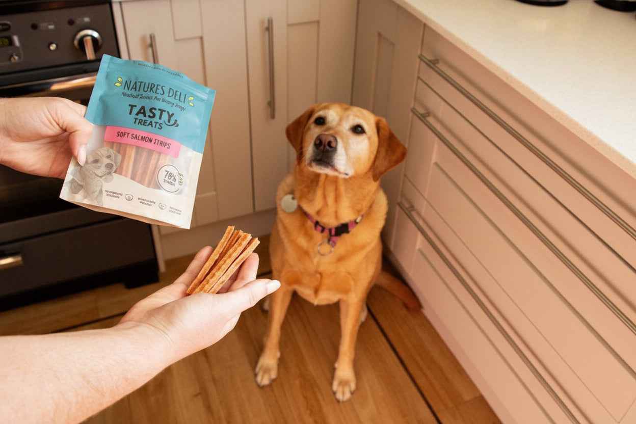 Soft Salmon Sticks 100g