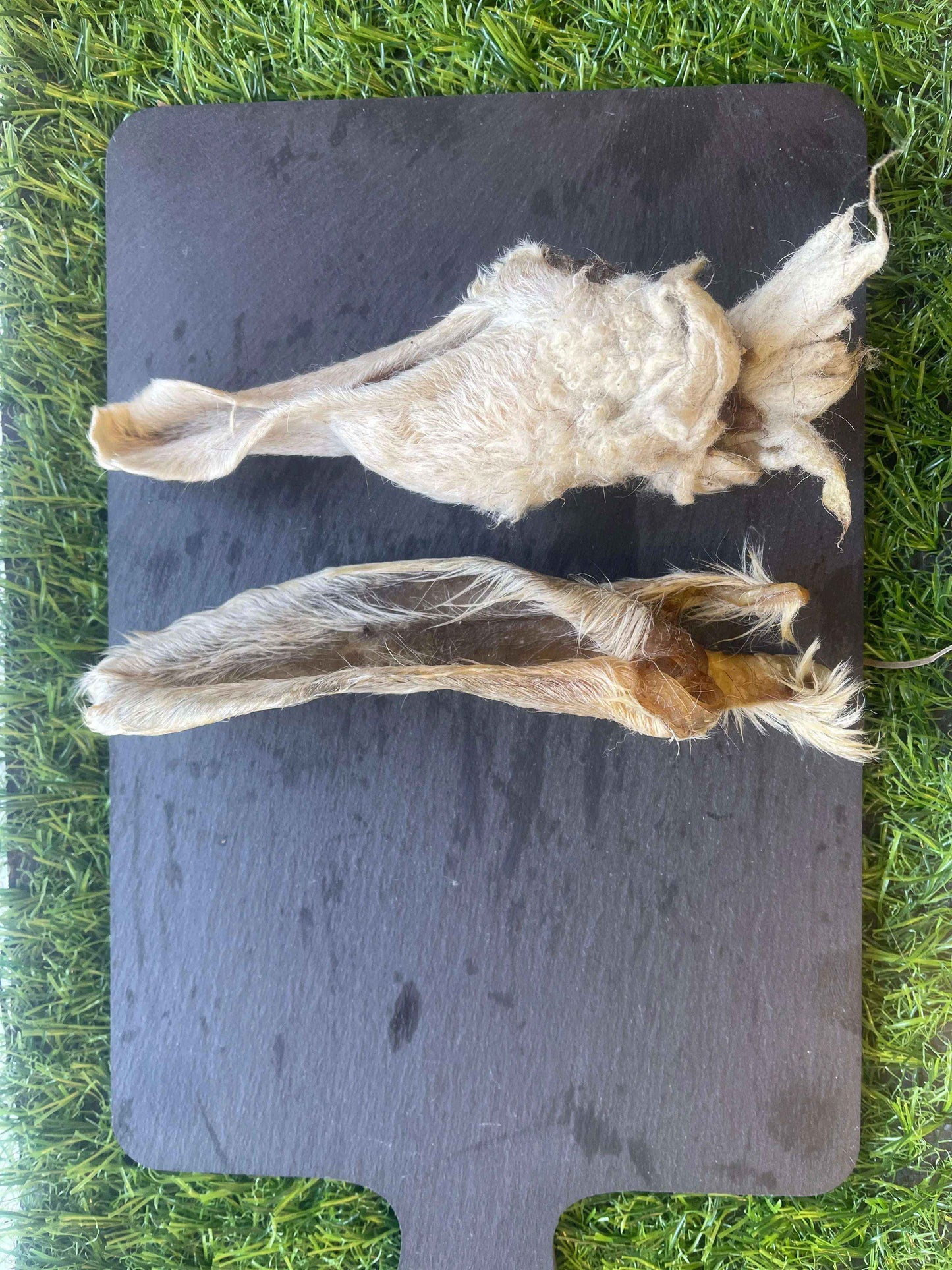 Hairy lamb ears
