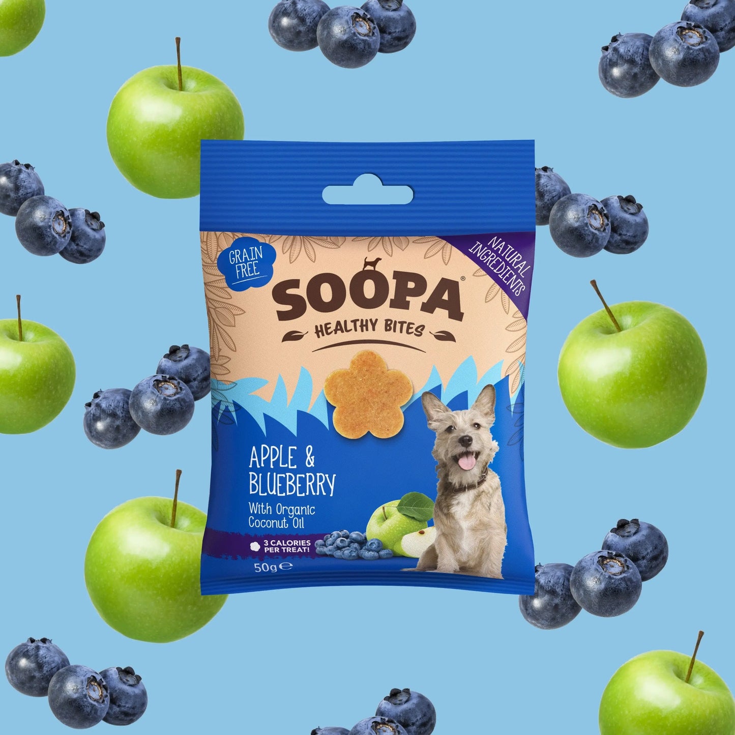 Soopa Apple & Blueberry Healthy Bites JC Raw LTD