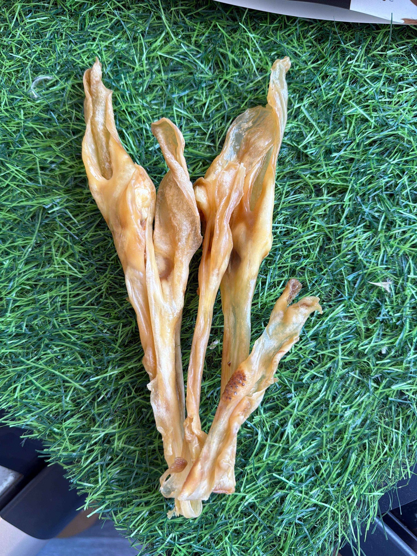 Rabbit Ears Without Fur