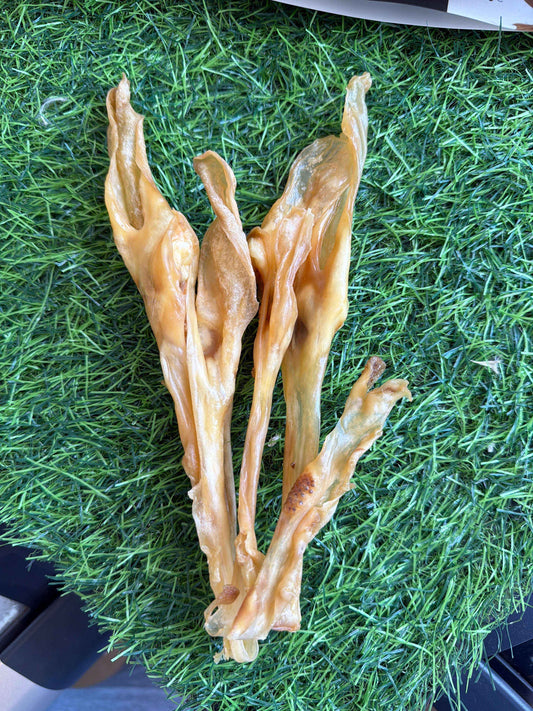 Rabbit Ears Without Fur