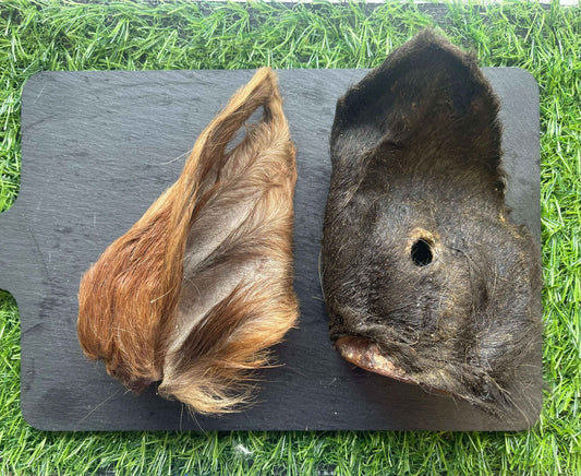 Hairy Cow Ears