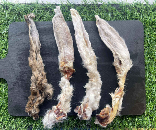 Hairy Rabbit Ears