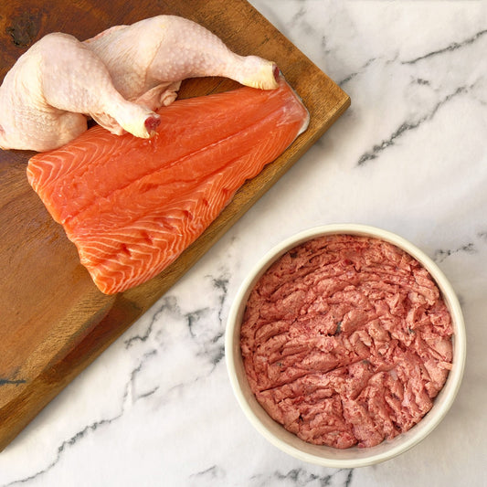 Raw Treat Pet Food - Salmon & Chicken 80:10:10