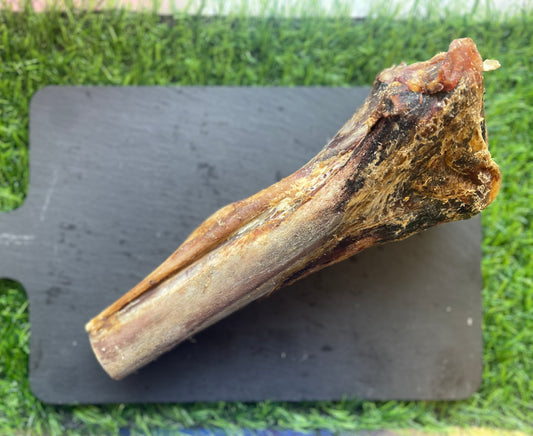 Ostrich Bone