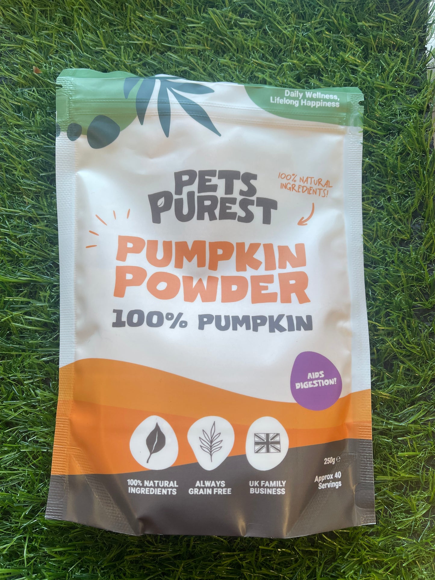 Pumpkin Powder for Healthy Digestion