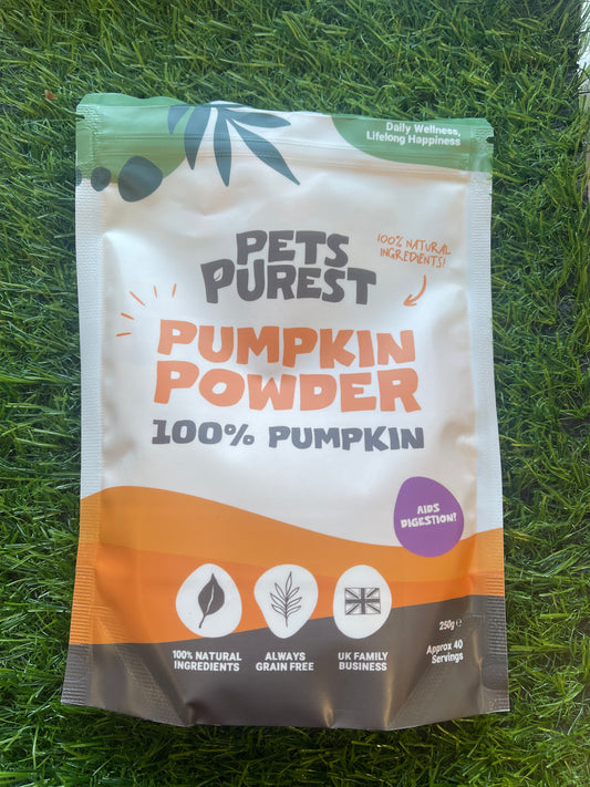 Pumpkin Powder for Healthy Digestion