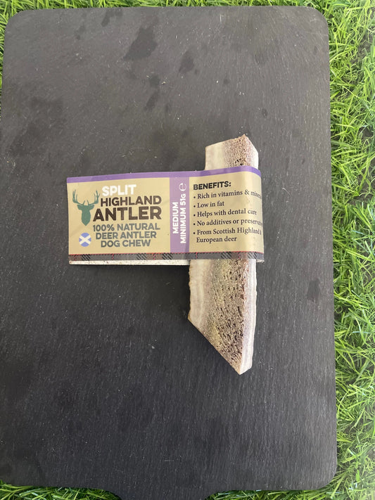 Split Highland Antler Nova dog chews