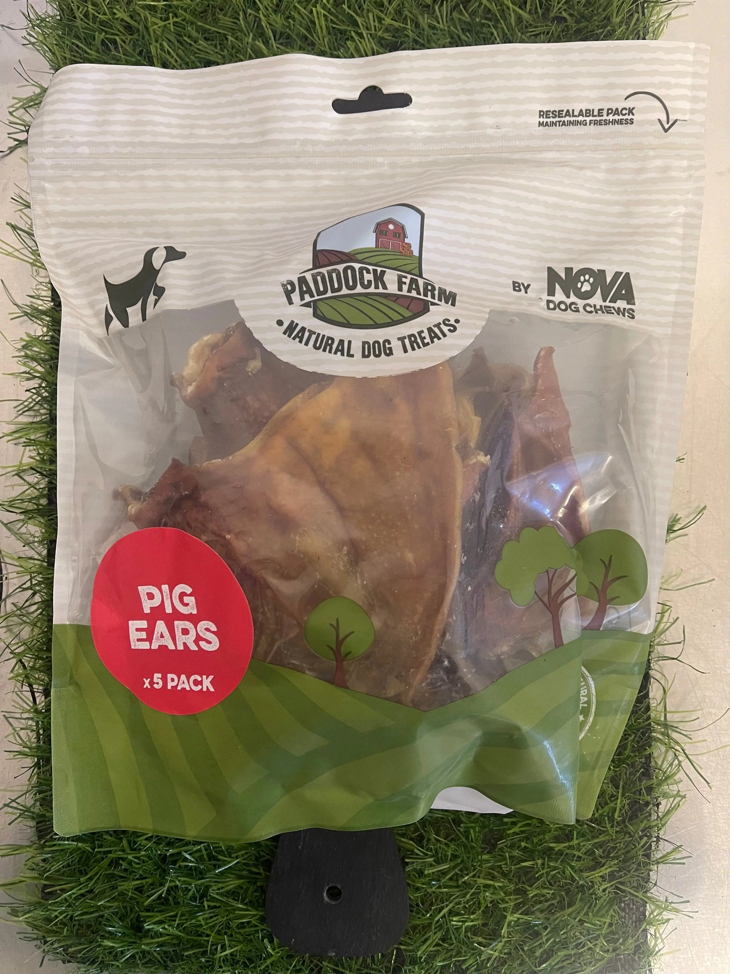 Pig Ears Pack - x5 Nova dog chews