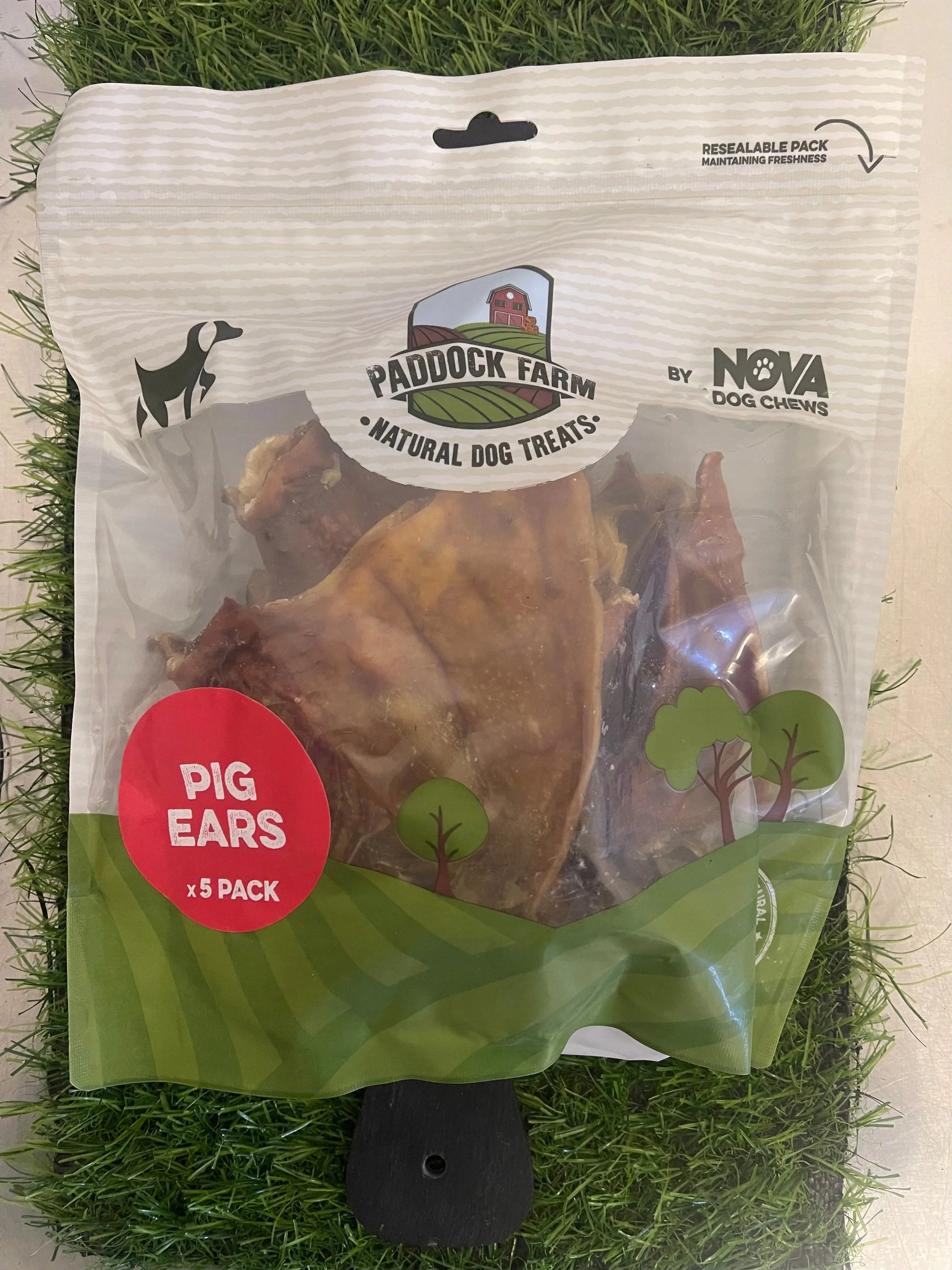 Pig Ears Pack - x5 Nova dog chews