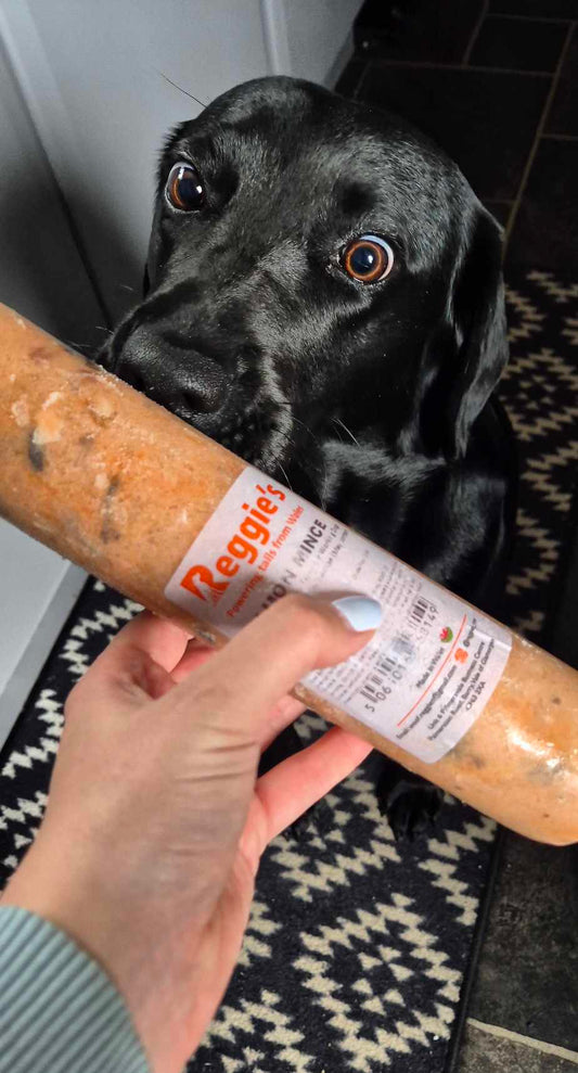 Reggies Raw Salmon 100%