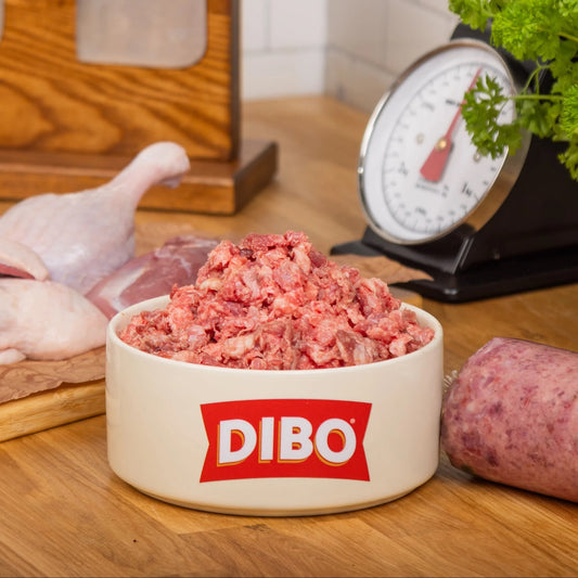 DIBO Single Protein Duck 454g