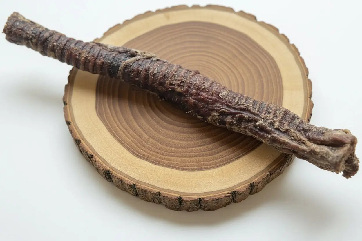 whole Beef Trachea JC Raw LTD