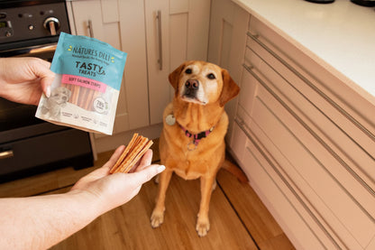 Soft Salmon Sticks 100g