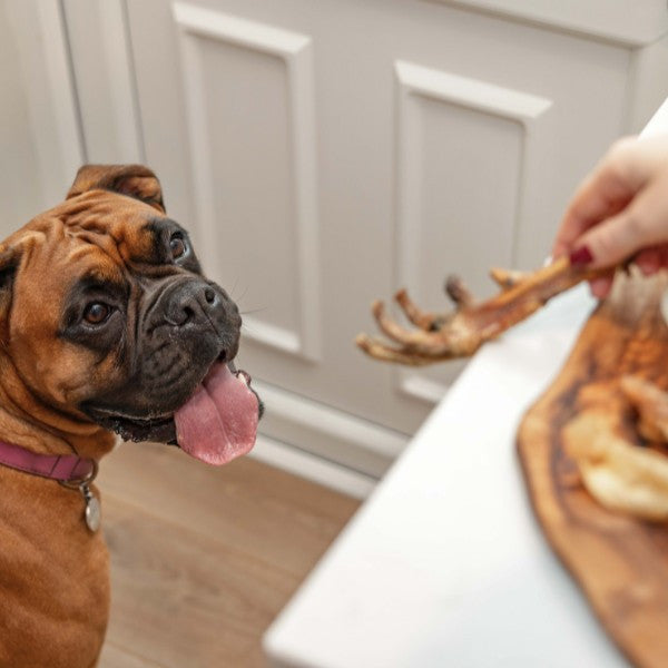 Doodles Deli Chicken Feet 100g
