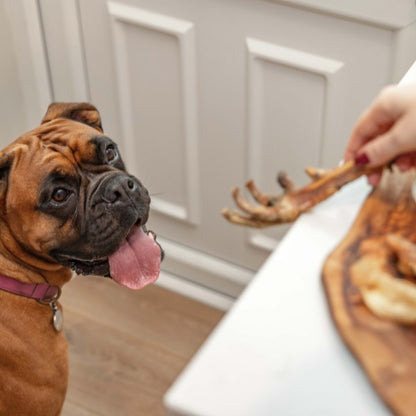 Doodles Deli Chicken Feet 100g